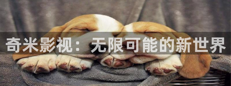 嫩草影院久久久久