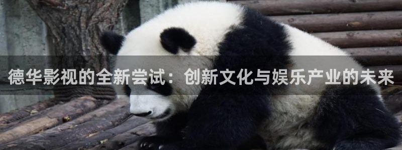 嫩草影院国内精品